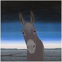 Harmaapaa, 2015 (&copy; Leonora Fredriksson)