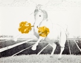 Koskenm&auml;en komea, 2011 (&copy; Leonora Fredriksson)